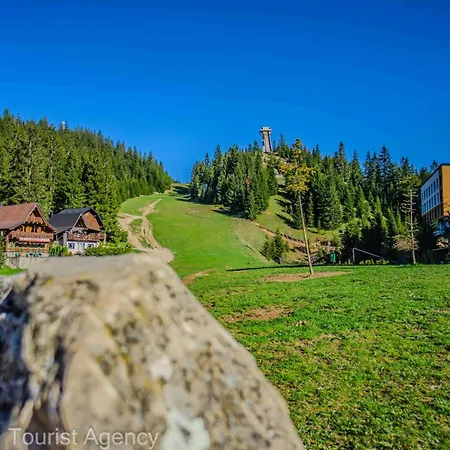 Vlasic 4* Šišava